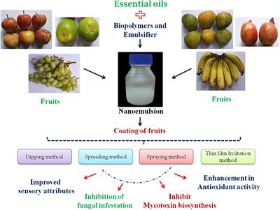 Nanoencapsulation-Based Edible Coating of Essential Oils as a Novel Green Strategy Against Fungal Spoilage, Mycotoxin Contamination, and Quality Deterioration of Stored Fruits: An Overview